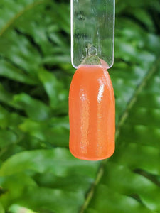 Tanager